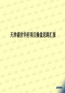 武清盛世华府项目营销报告0329