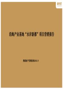 水岸新都项目营销报告(改稿)