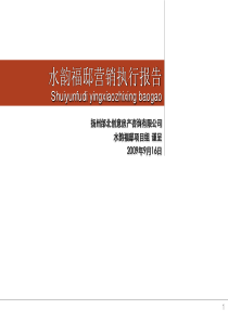 水韵福邸营销执行报告