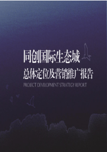 江西新余同创国际生态城项目总体定位及营销推广报告_154PPT_XXXX