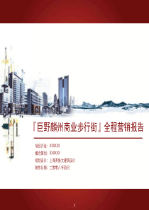 菏泽市巨野县麟州商业步行街项目全程营销报告X年