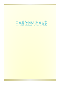 三网融合业务与组网方案研究
