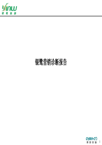 银鹭营销诊断报告