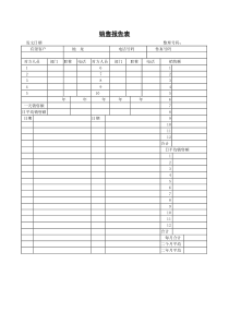 销售报告表-2
