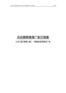 销售推广执行报告227