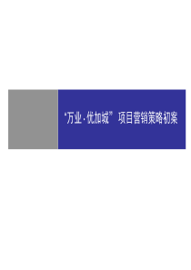 长沙万业别墅项目营销报告