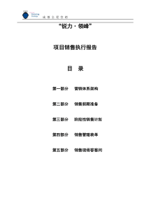 （3）项目销售执行报告