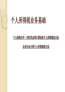 个人所得税业务基础