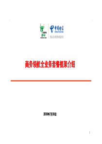 中国电信商务领航全业务营销套餐框架