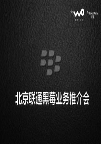 中国联通黑莓业务发布会方案（PPT30页）