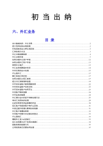 初当出纳 6 外汇业务