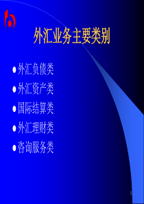 国际业务概述