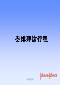强生业务拜访培训1安排拜访形成(1)