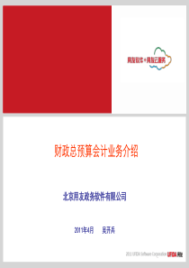 总预算会计业务介绍