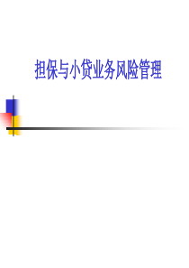 担保小贷业务(讲义)