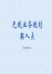 无线业务规划及契入点-knightniu20091011