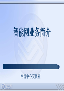 智能网业务
