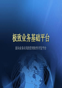 极致业务基础平台