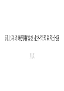 河北移动端到端数据业务管理系统介绍
