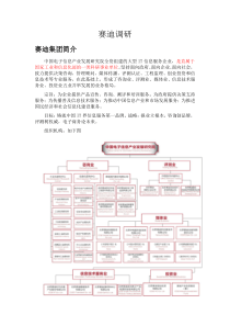 赛迪集团业务总览