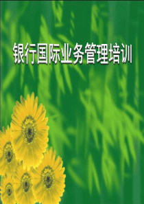 银行国际业务管理培训