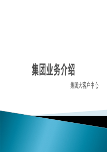 集团业务介绍
