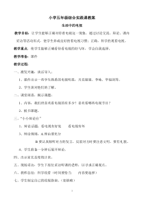 小学五年级综合实践课教案