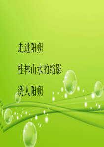 阳朔的介绍
