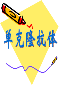 单克隆抗体