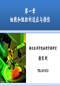 病理学(第八版)最新课件细胞和组织的适应与损伤