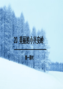 部编版三年级上册语文-20-美丽的小兴安岭