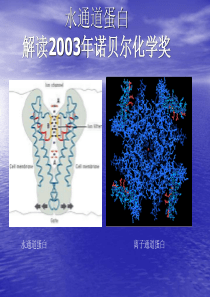 水通道蛋白解读