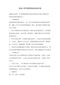 升降国旗活动实施方案