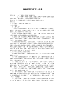 禁毒宣传教案