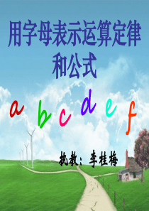 用字母表示运算定律和公式