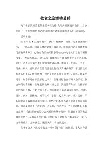 敬老院献爱心活动总结