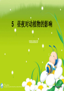五年级上册科学课件-1.5昼夜对动植物的影响-苏教版(共13张PPT)