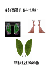 23.2.1中心对称(课件)
