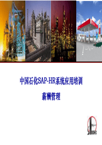 中国石化SAP-HR系统应用培训__薪酬管理