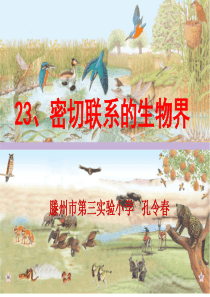 密切联系的生物界