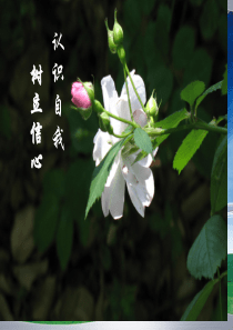 《认识自我-树立信心主题班会》