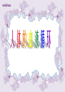 人体的血液循环PPT