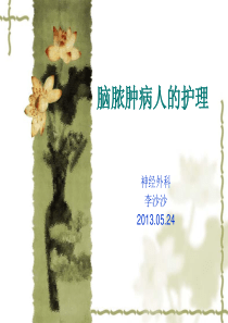 脑脓肿病人的护理