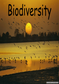 英语话题-生物多样性Biodiversity