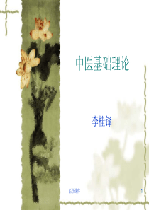 中医基础理论-PPT课件