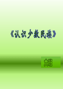 《认识少数民族》-大班