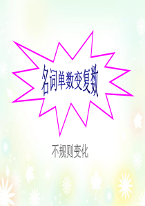 名词单数变复数的不规则变化