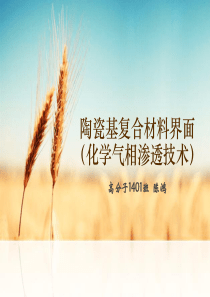 陶瓷基复合材料的界面