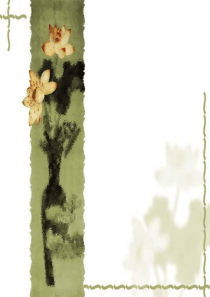 独体字课件(修改)