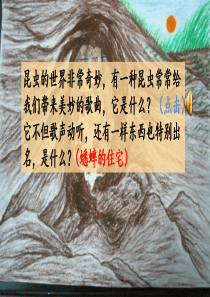 部编版语文四年级上册11-蟋蟀的住宅课件